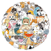 Kawaii Katzen Sticker 10/30/50 Stück – Niedliche Aufkleber