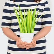 Kawaii Graspapier Gelstifte 5er Set – Niedliche Schreibwaren